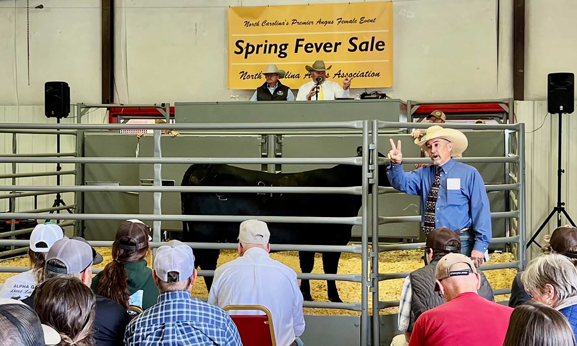 Sale Barn Live Cattle Auction